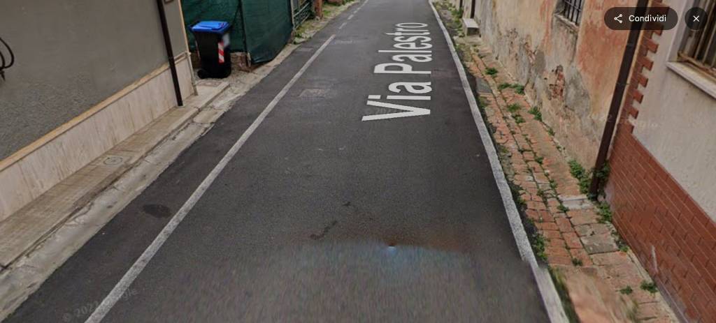 immagine annuncio 1 di 14