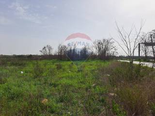 Terreno agricolo in vendita a bari complanare est statale 100