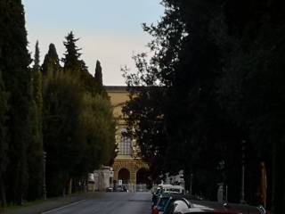 Appartamento in in vendita da privato a firenze via dei grecchi, 3