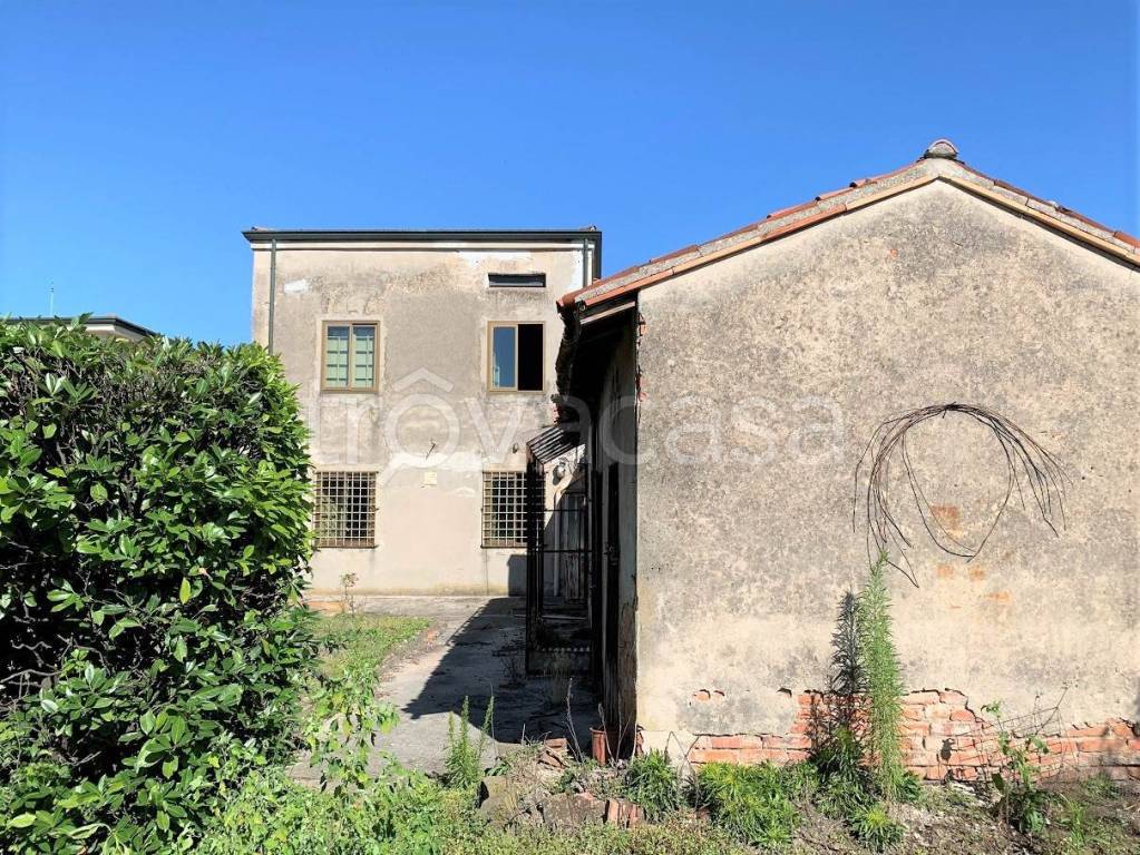 immagine annuncio 3 di 13