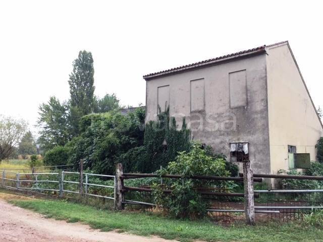 immagine annuncio 4 di 8