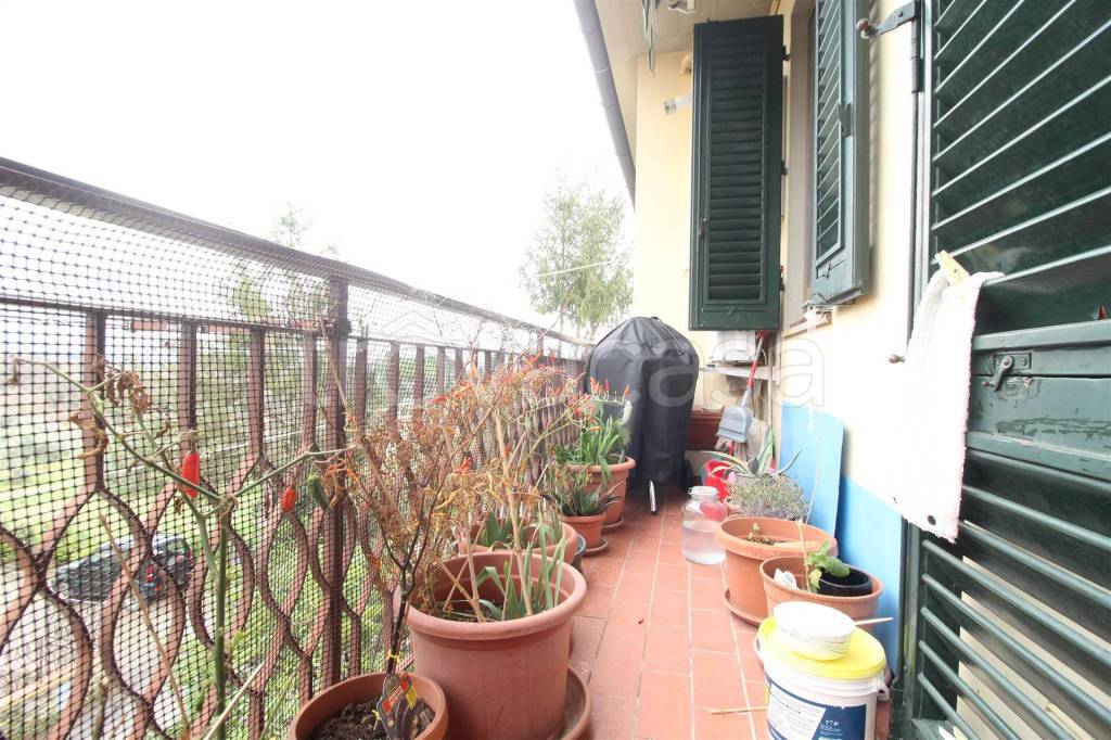 immagine annuncio 3 di 13