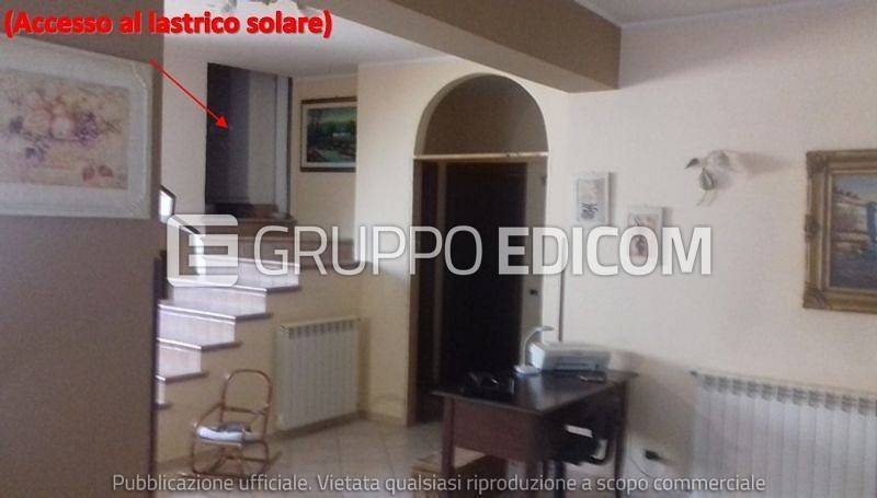immagine annuncio 4 di 8