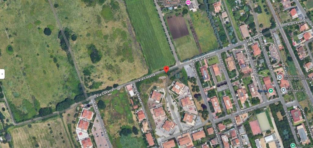 immagine annuncio 10 di 12