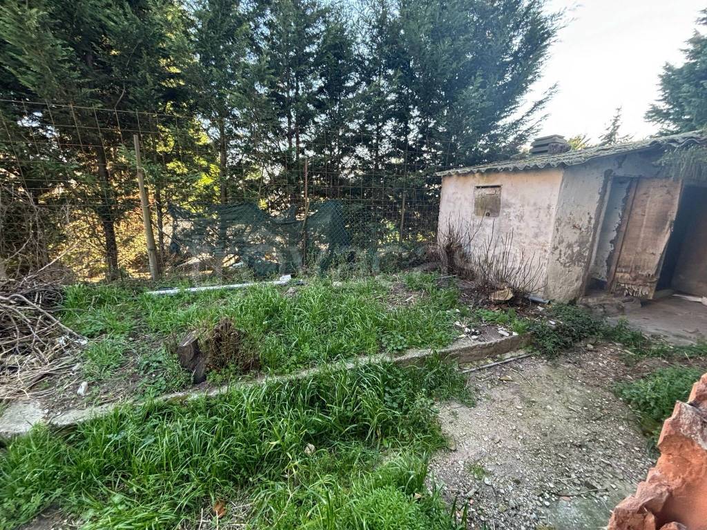immagine annuncio 2 di 4