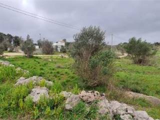 Terreno agricolo in vendita a collepasso via aia vecchia