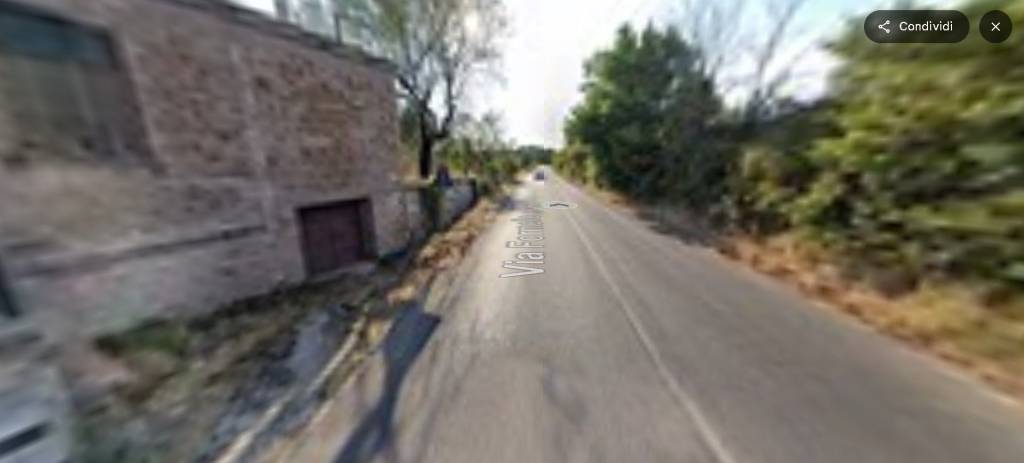 immagine annuncio 13 di 14
