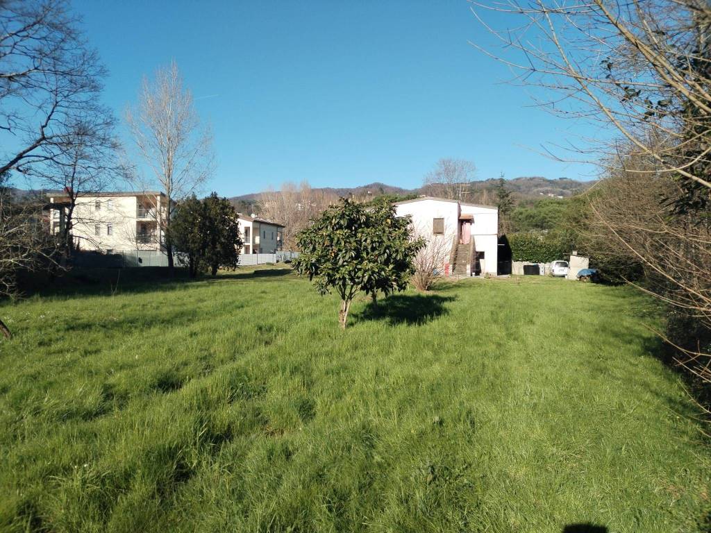 immagine annuncio 4 di 7