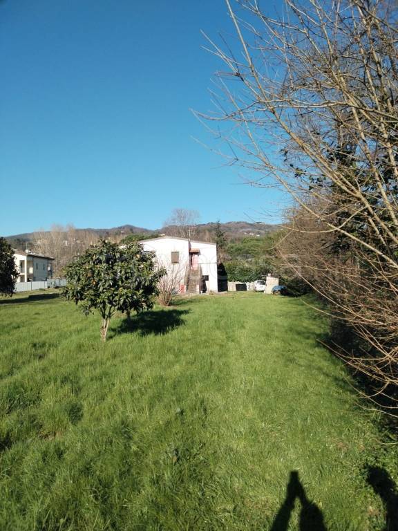 immagine annuncio 5 di 7