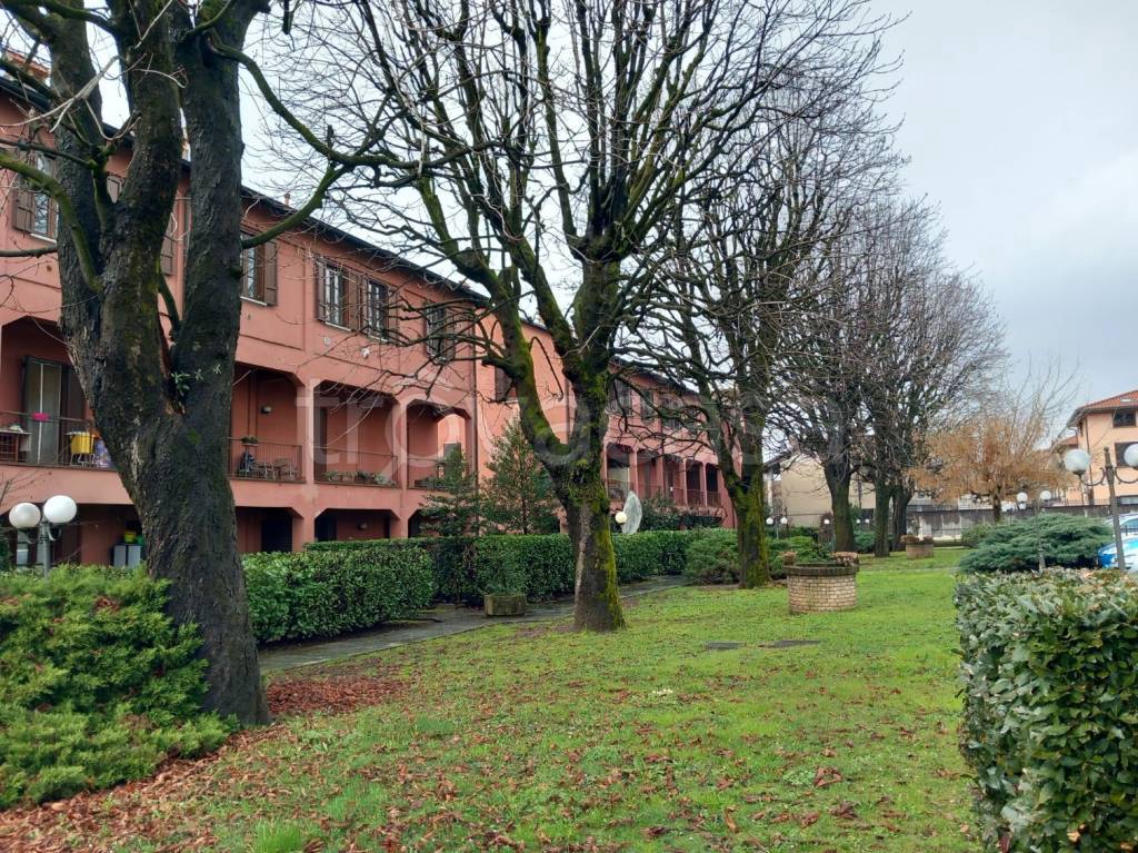 immagine annuncio 3 di 15