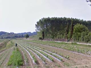 Terreno agricolo in vendita a casciana terme lari via pisinacchio