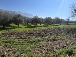 Terreno agricolo in vendita a sant'agata de' goti contrada migliara