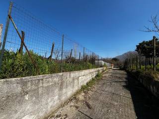 Terreno agricolo in vendita a montoro via roma