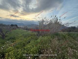 Terreno agricolo in vendita a bagheria strada comunale eleuterio