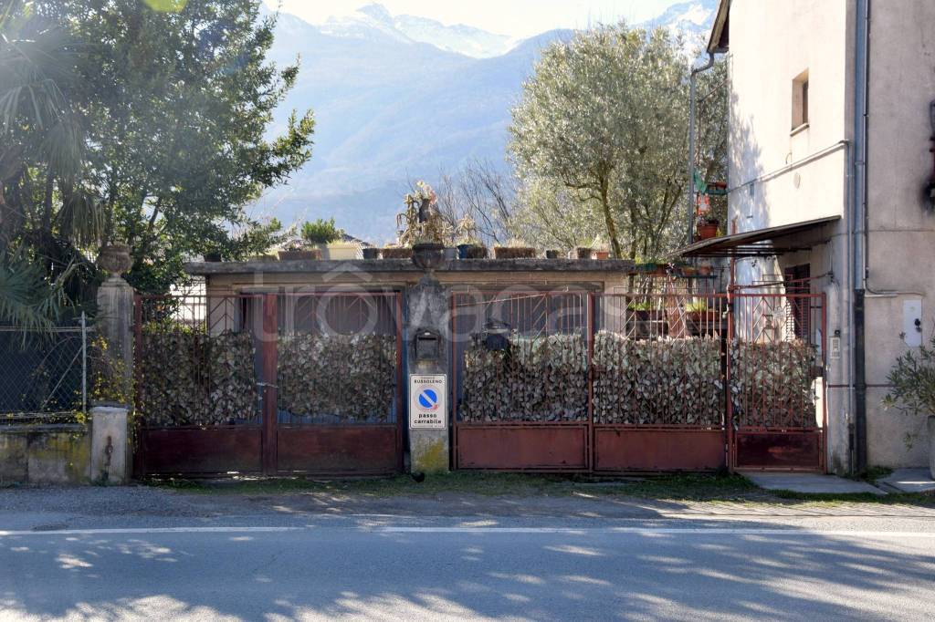 immagine annuncio 2 di 8
