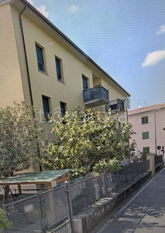 immagine annuncio 10 di 12