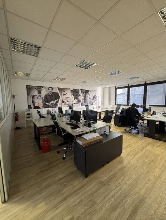 immagine annuncio 9 di 15