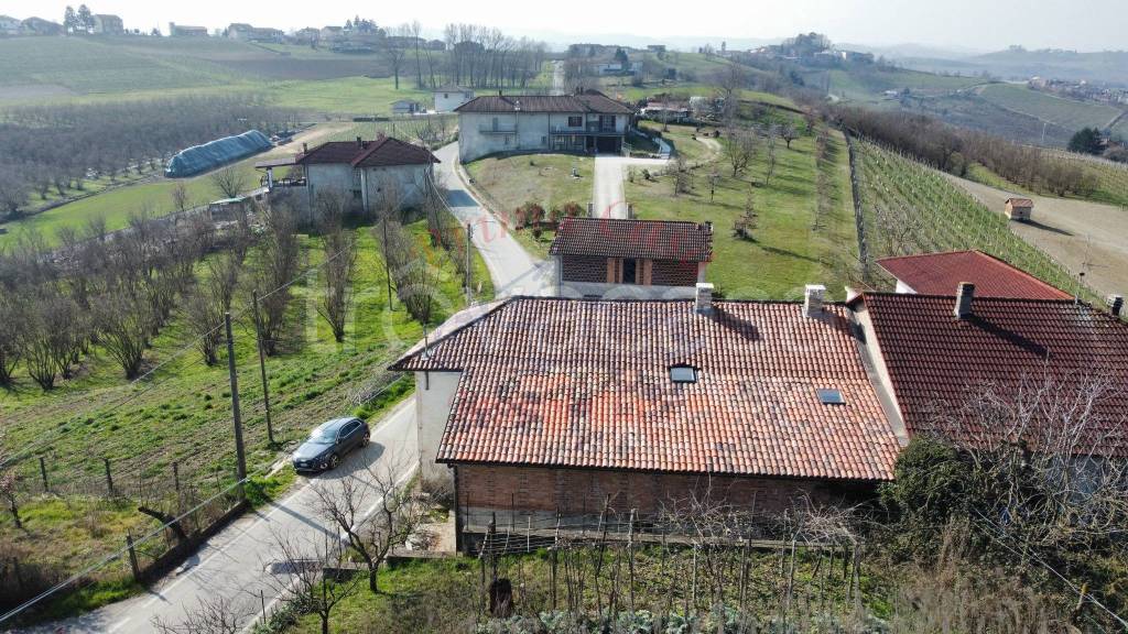 immagine annuncio 10 di 14
