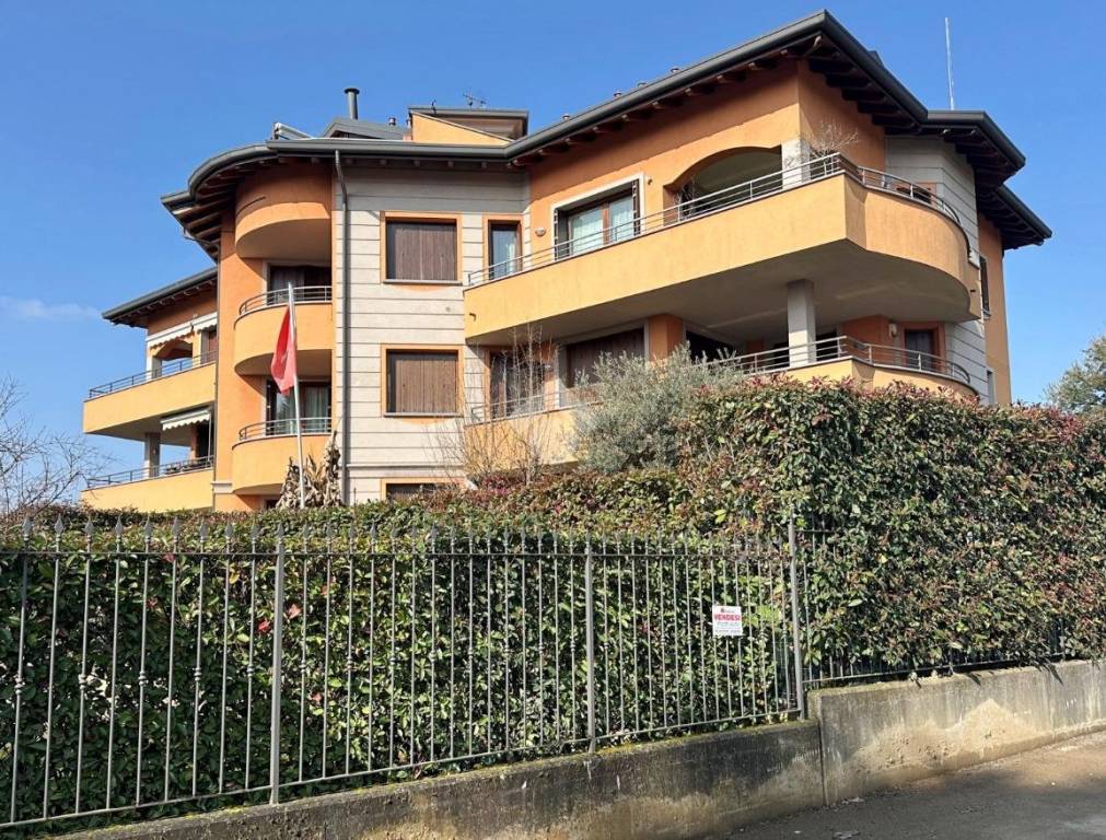 immagine annuncio 3 di 15