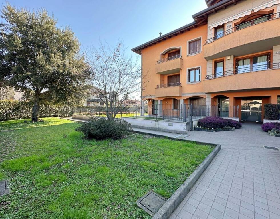 immagine annuncio 11 di 15