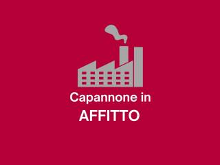 Capannone in affitto a cassola 