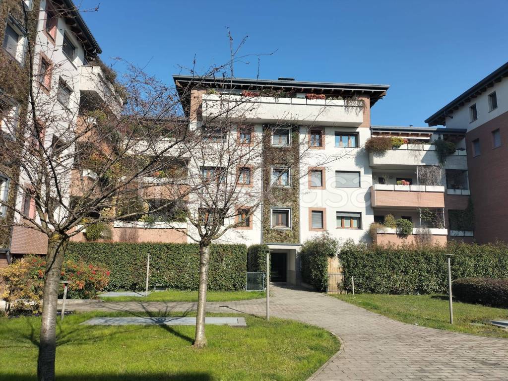 immagine annuncio 7 di 15