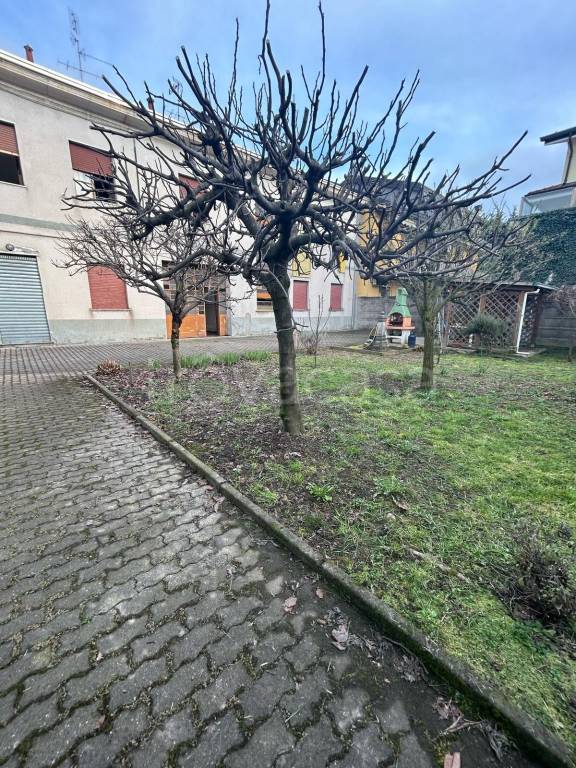 immagine annuncio 3 di 15