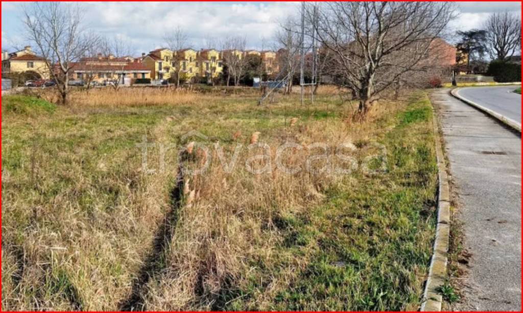immagine annuncio 3 di 12