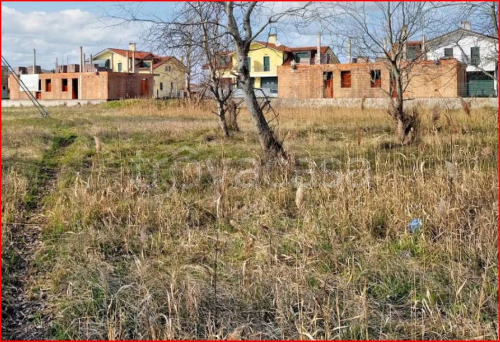 immagine annuncio 4 di 12