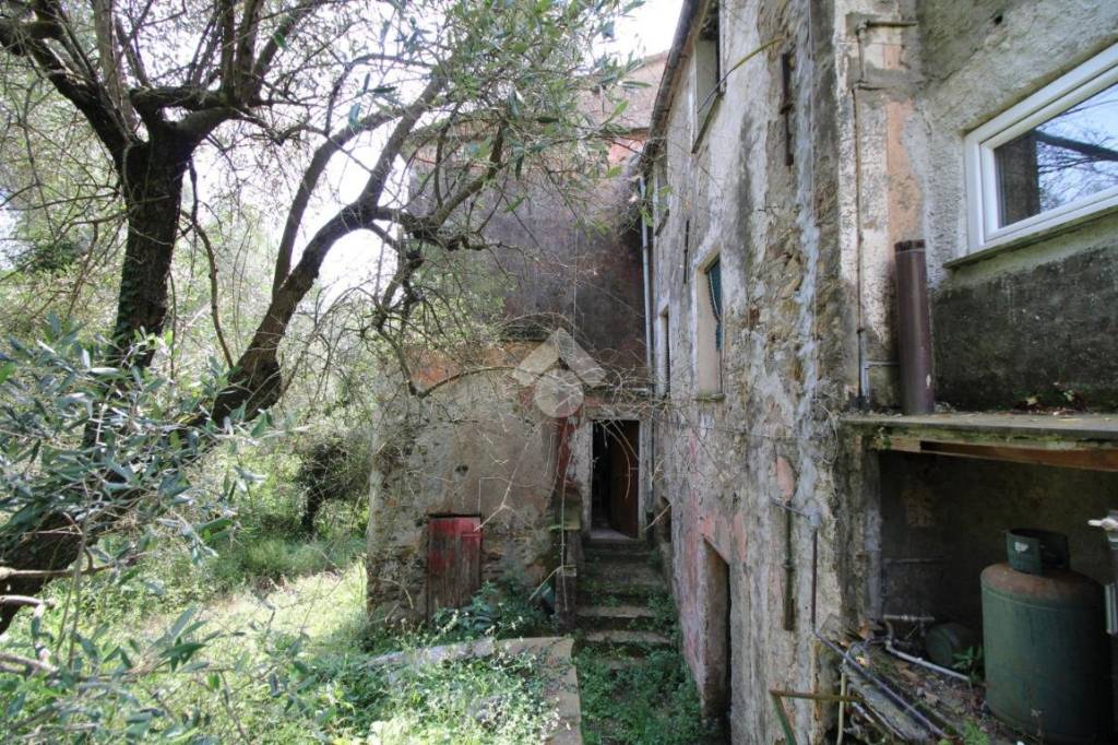 immagine annuncio 3 di 8