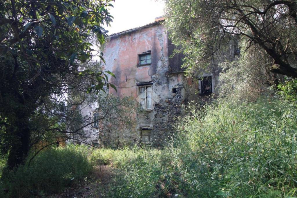 immagine annuncio 6 di 8