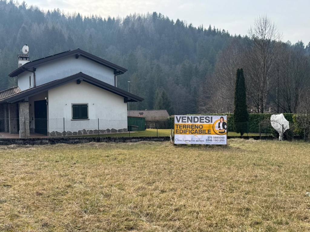 immagine annuncio 7 di 12