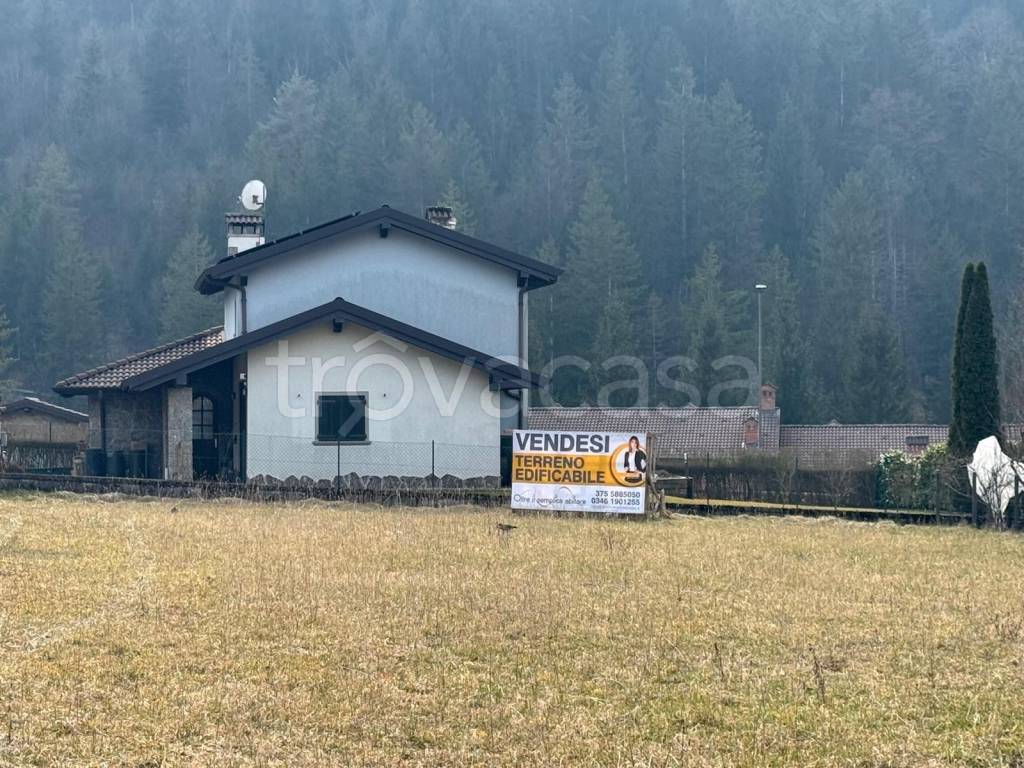 immagine annuncio 8 di 12