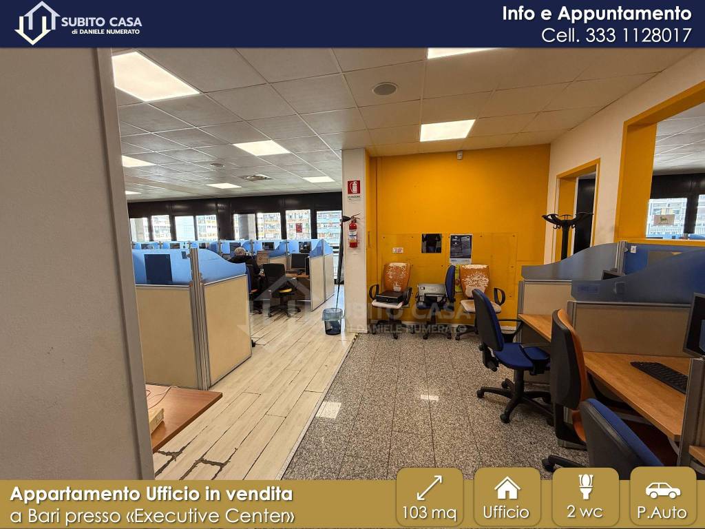 immagine annuncio 3 di 12