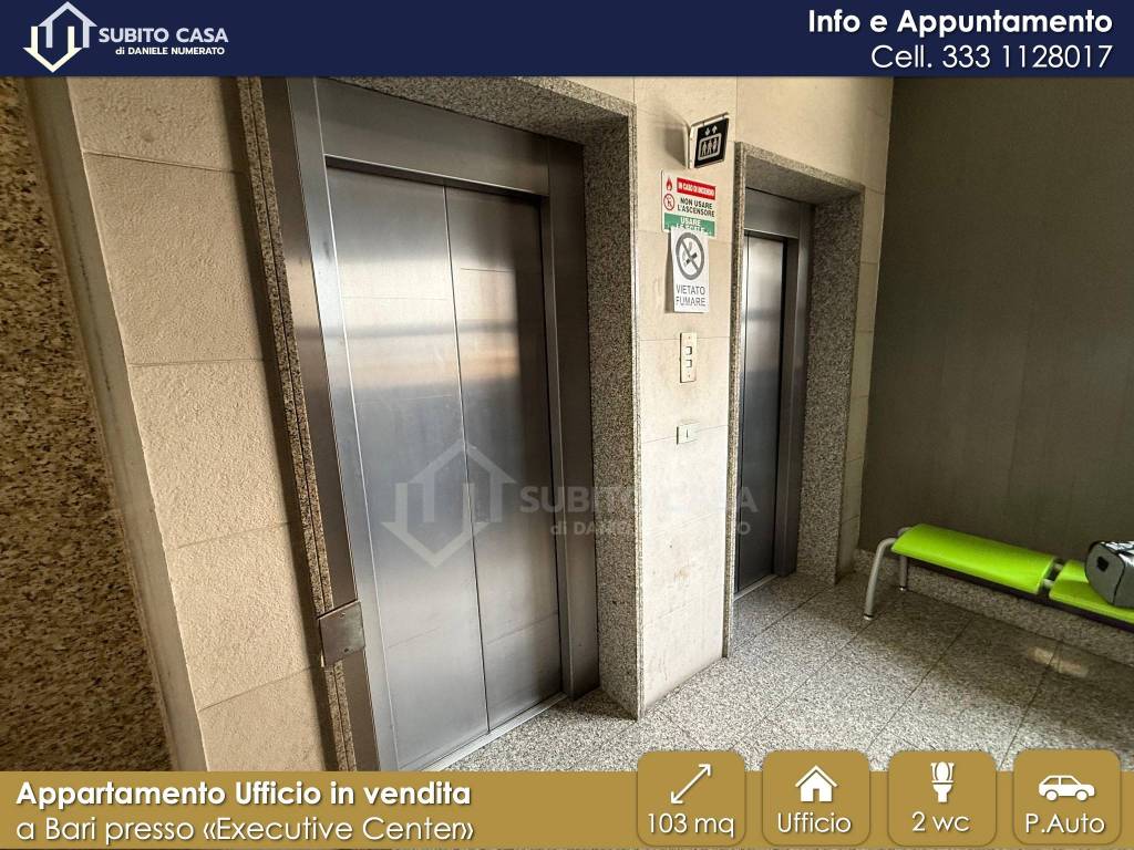 immagine annuncio 6 di 12