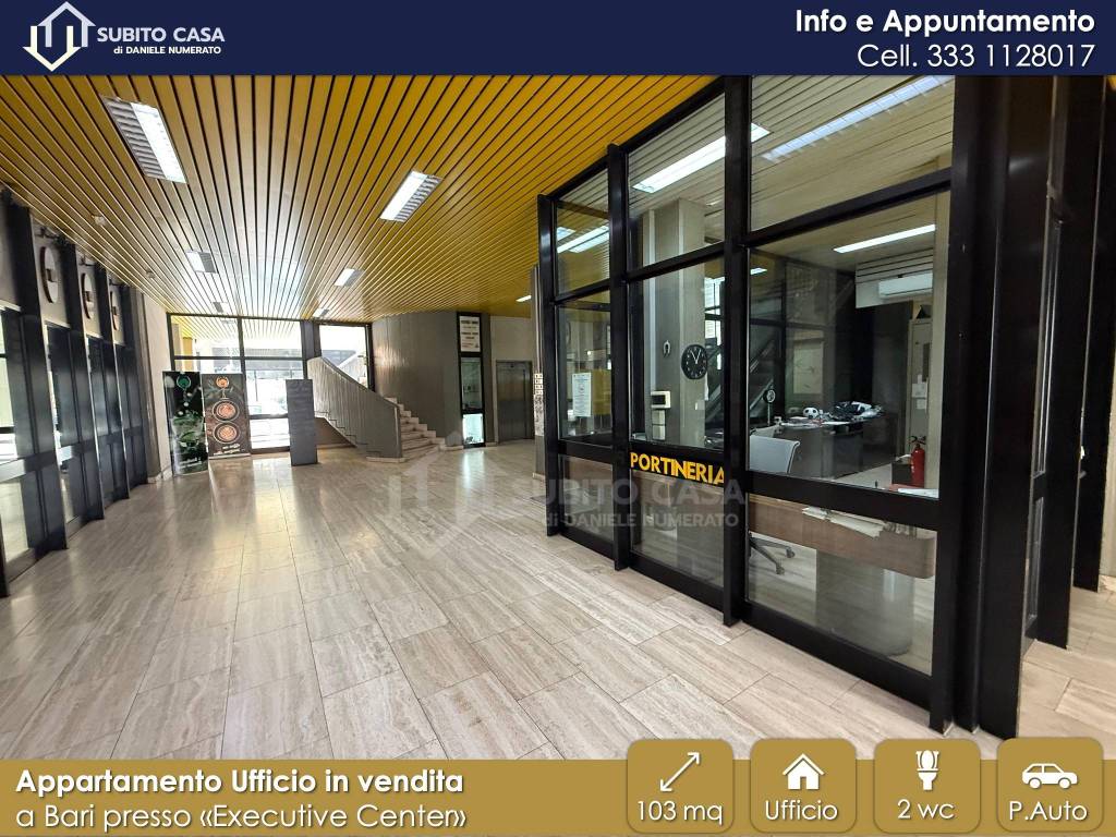 immagine annuncio 7 di 12