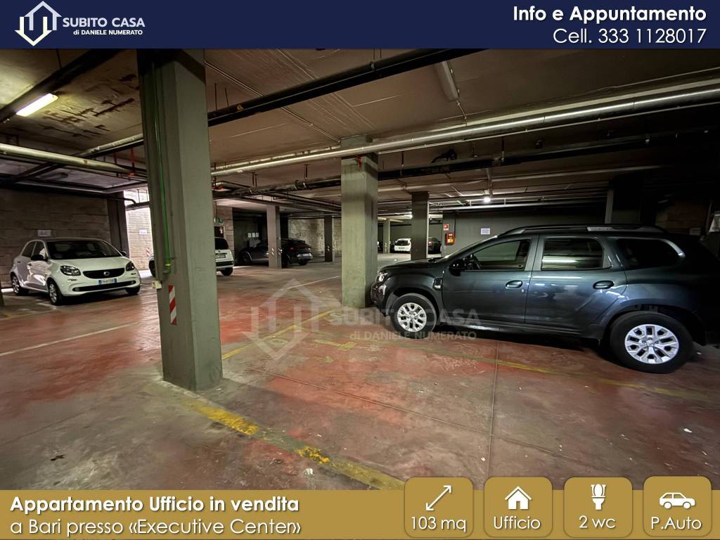 immagine annuncio 9 di 12