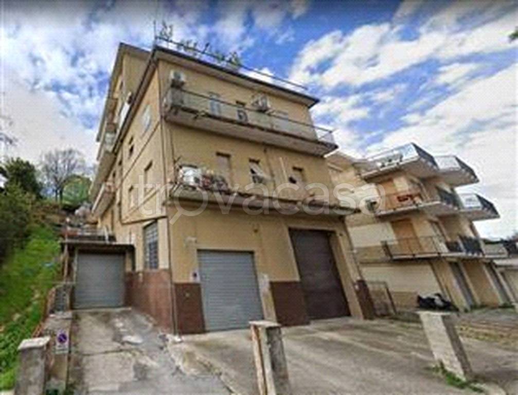 immagine annuncio 2 di 14