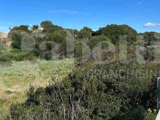 Terreno residenziale in vendita a santa teresa gallura località san pasquale, via liccia di fora, snc