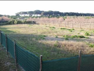 Terreno agricolo in affitto a san vincenzo località poggio alle formiche