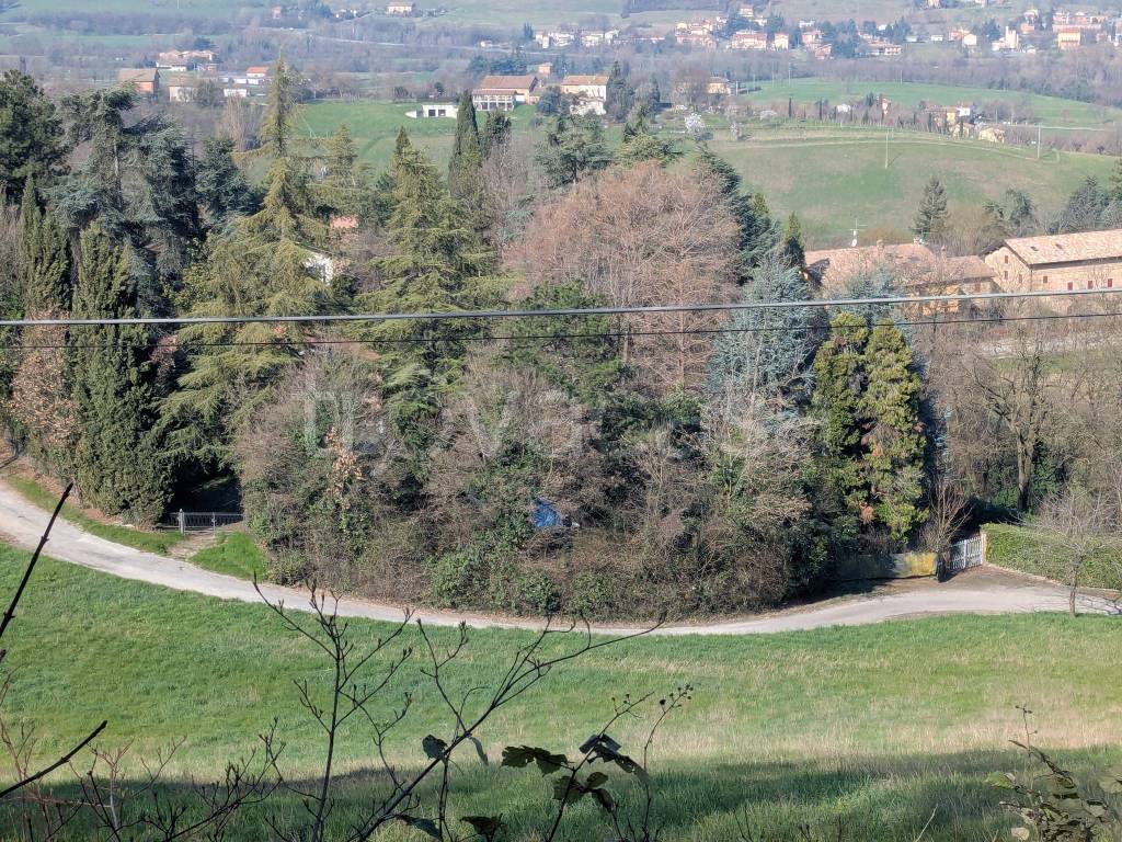 immagine annuncio 8 di 12