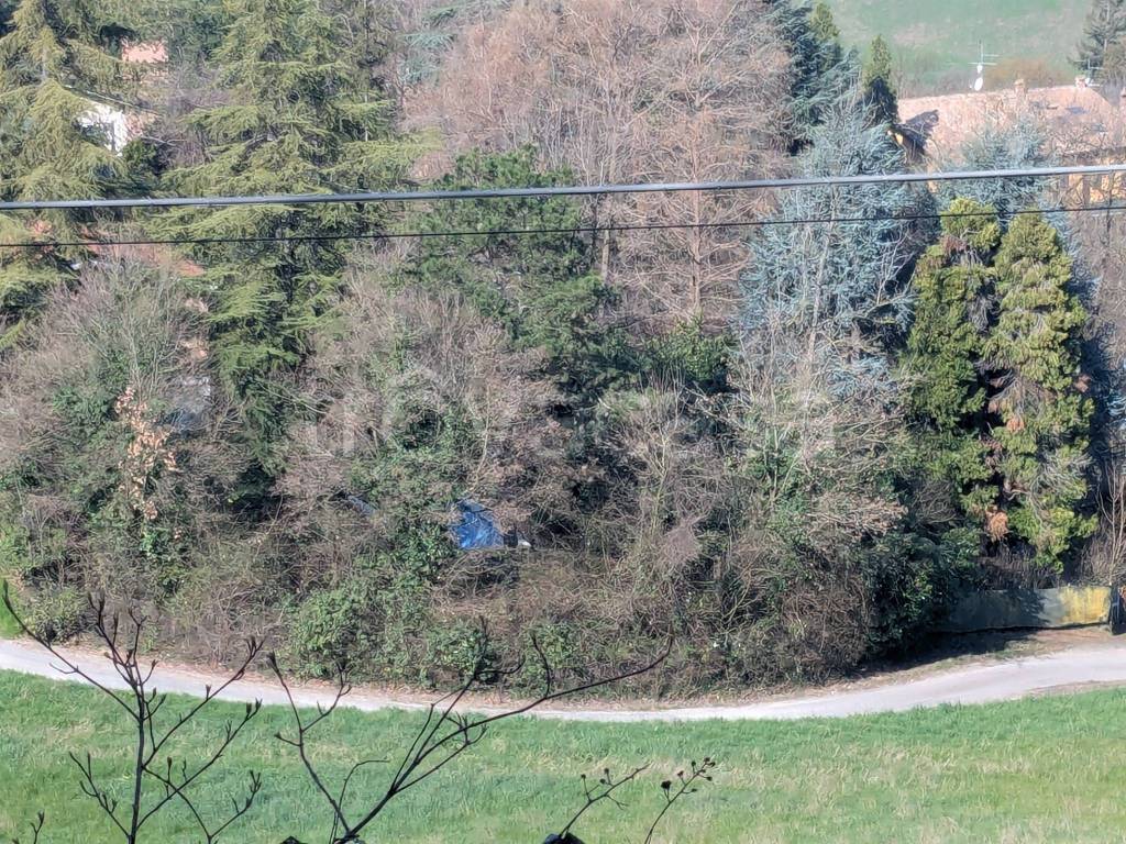 immagine annuncio 10 di 12