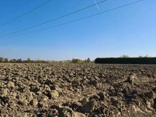 Terreno agricolo in vendita a casale sul sile via carlo gardan, 4b