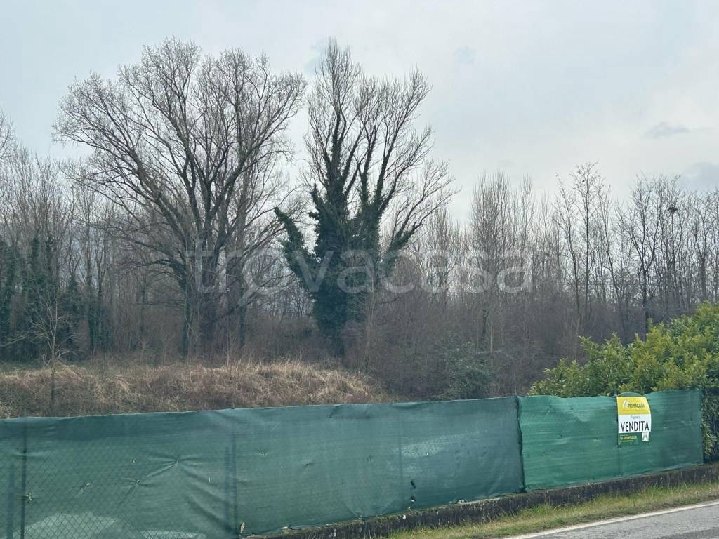 immagine annuncio 4 di 8