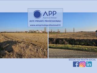 Terreno agricolo all'asta a piazzola sul brenta via boschi bassi