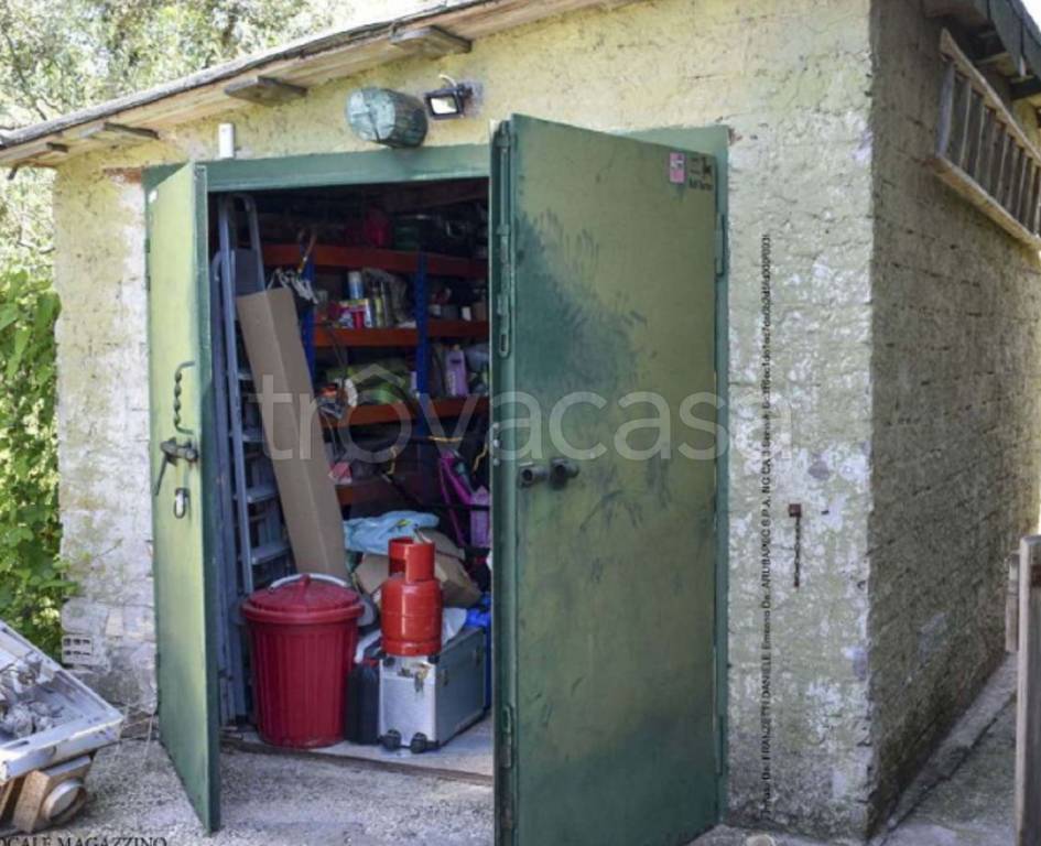 immagine annuncio 8 di 11