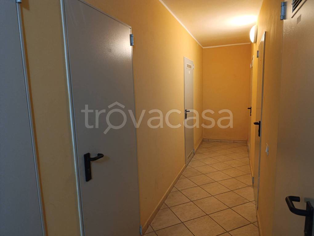 immagine annuncio 12 di 14