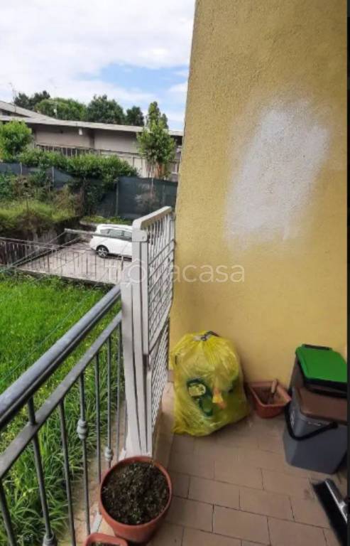 immagine annuncio 2 di 12