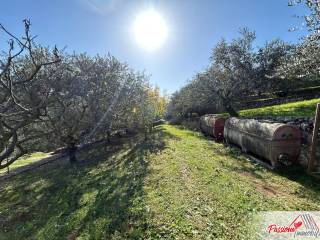 Terreno agricolo in vendita a verona strada del borago