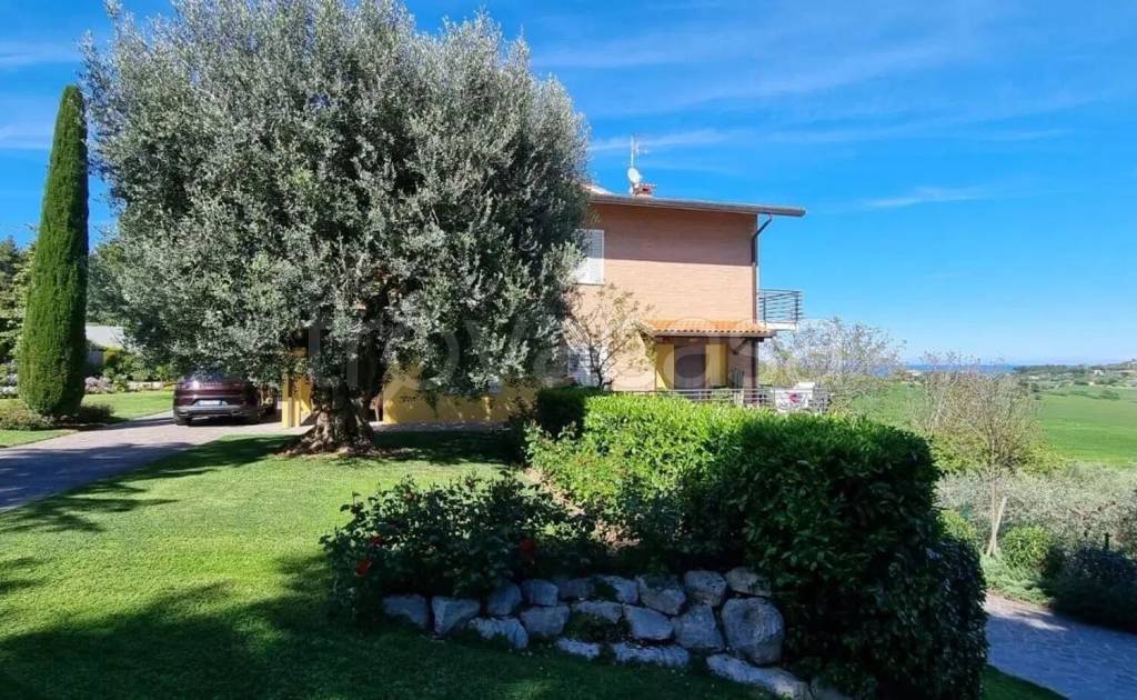 immagine annuncio 9 di 15